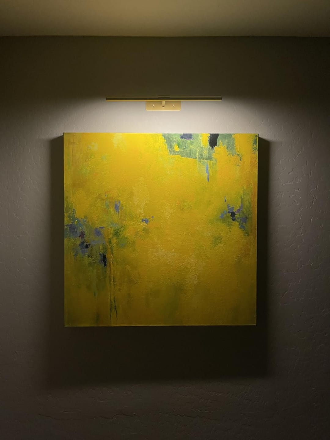 Customer photo review of LightsCordless™ RGB Rechargeable Picture Light