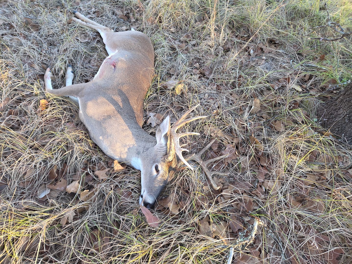 Customer photo review of Camo Deer Hunting Rangefinder 700/1000Y Laser Range Finder