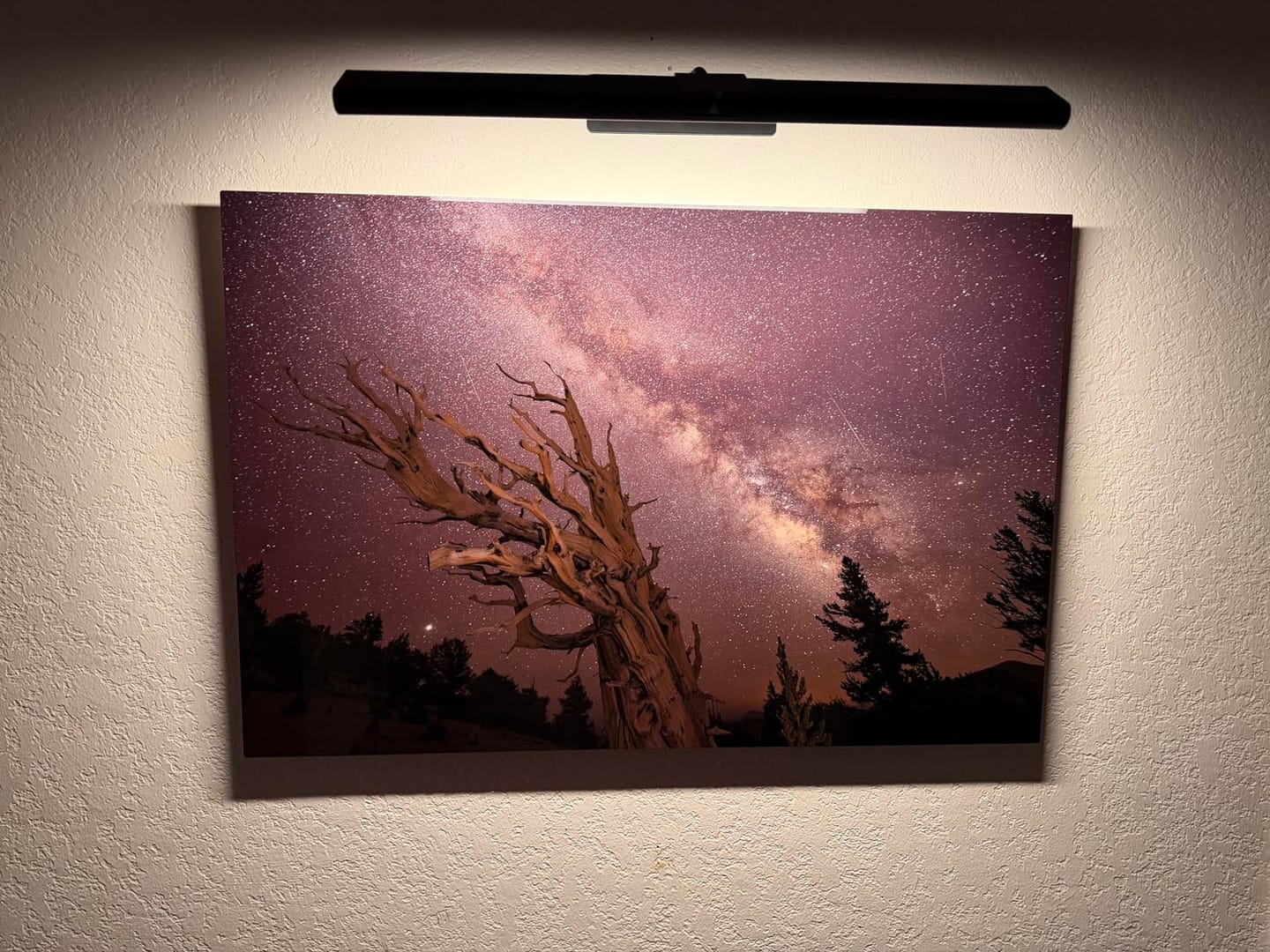 Customer photo review of LightsCordless™ RGB Rechargeable Picture Light