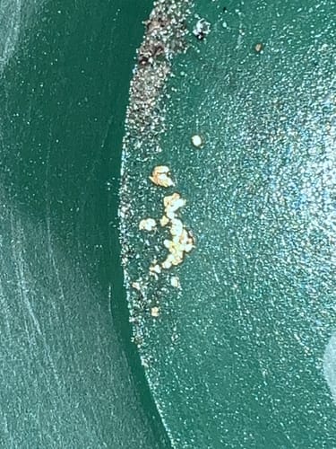 Customer's close-up of fine gold flakes collected in a green pan, showing results from the Gold Clean Up Buddy.