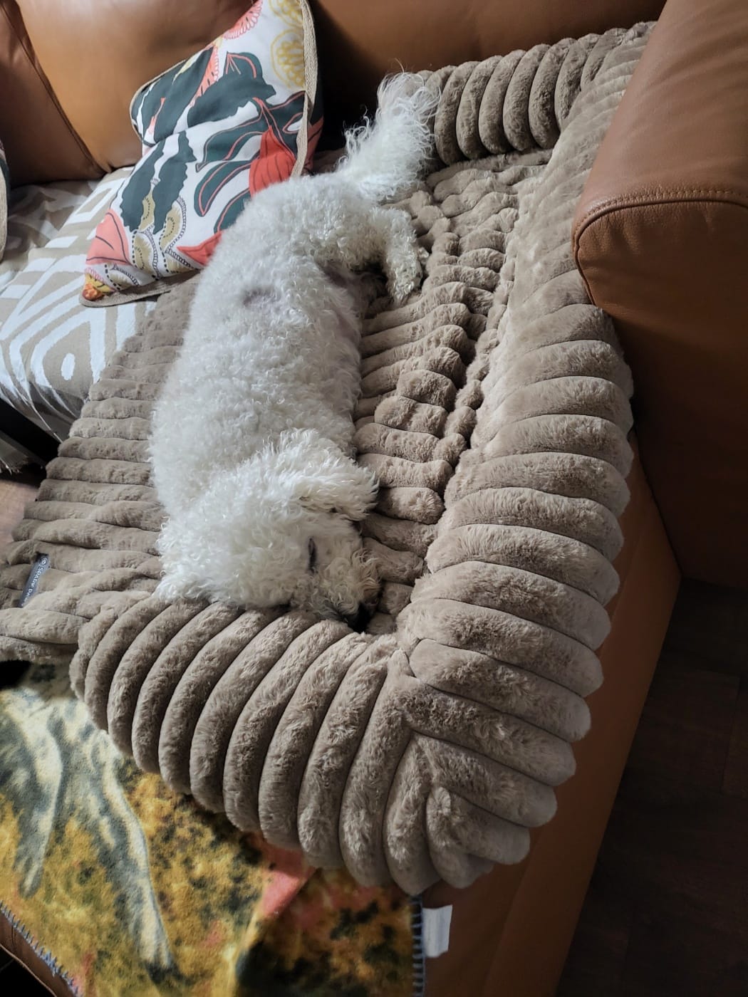 Customer photo review of Luxury Couch Cover Dog Bed - Brown