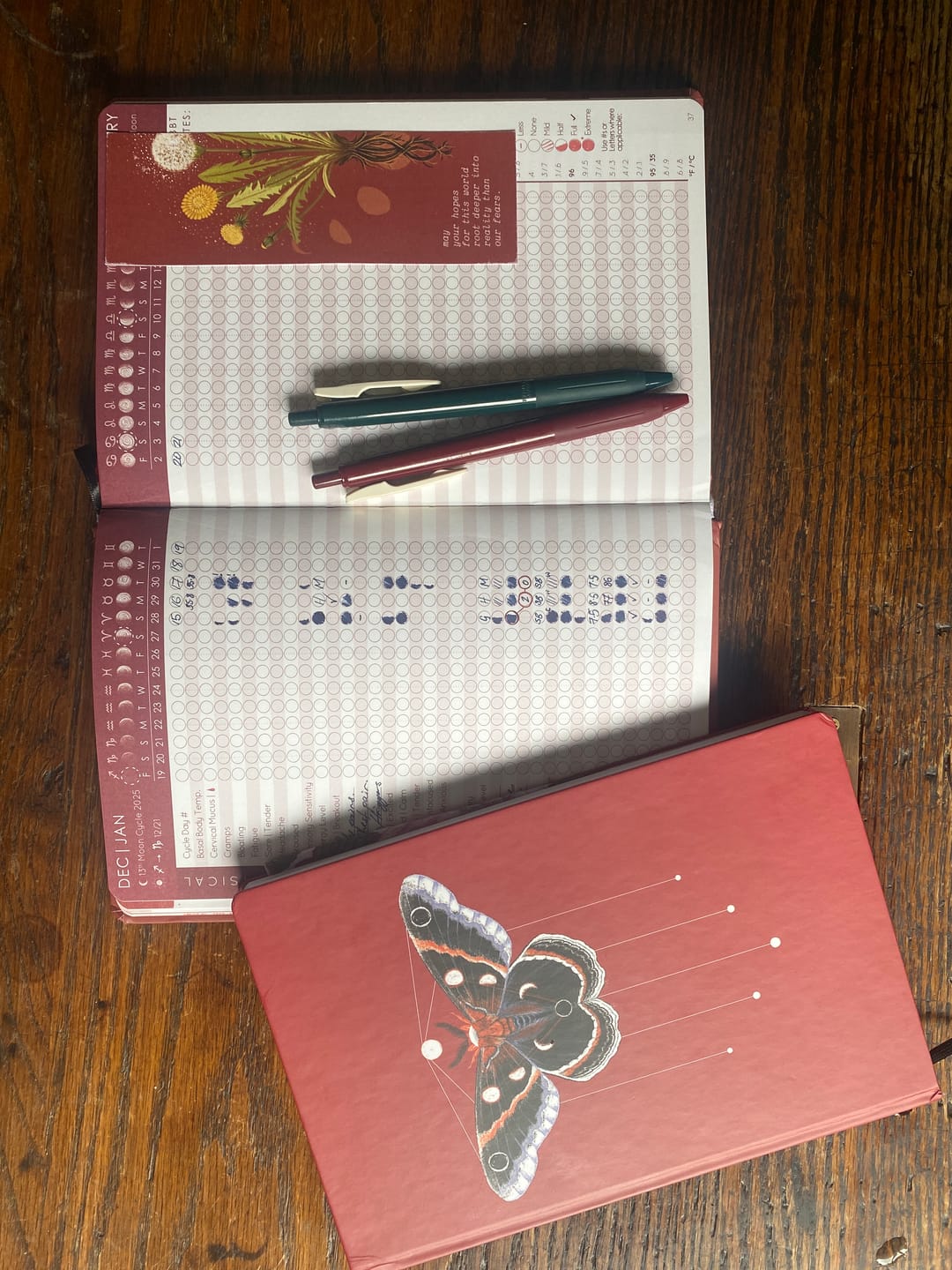 Customer photo review of Cycles Journal® 2026: Lunar Planner & Cycle Tracker for Whole-Body Awareness — more than just mental &/or menstrual health