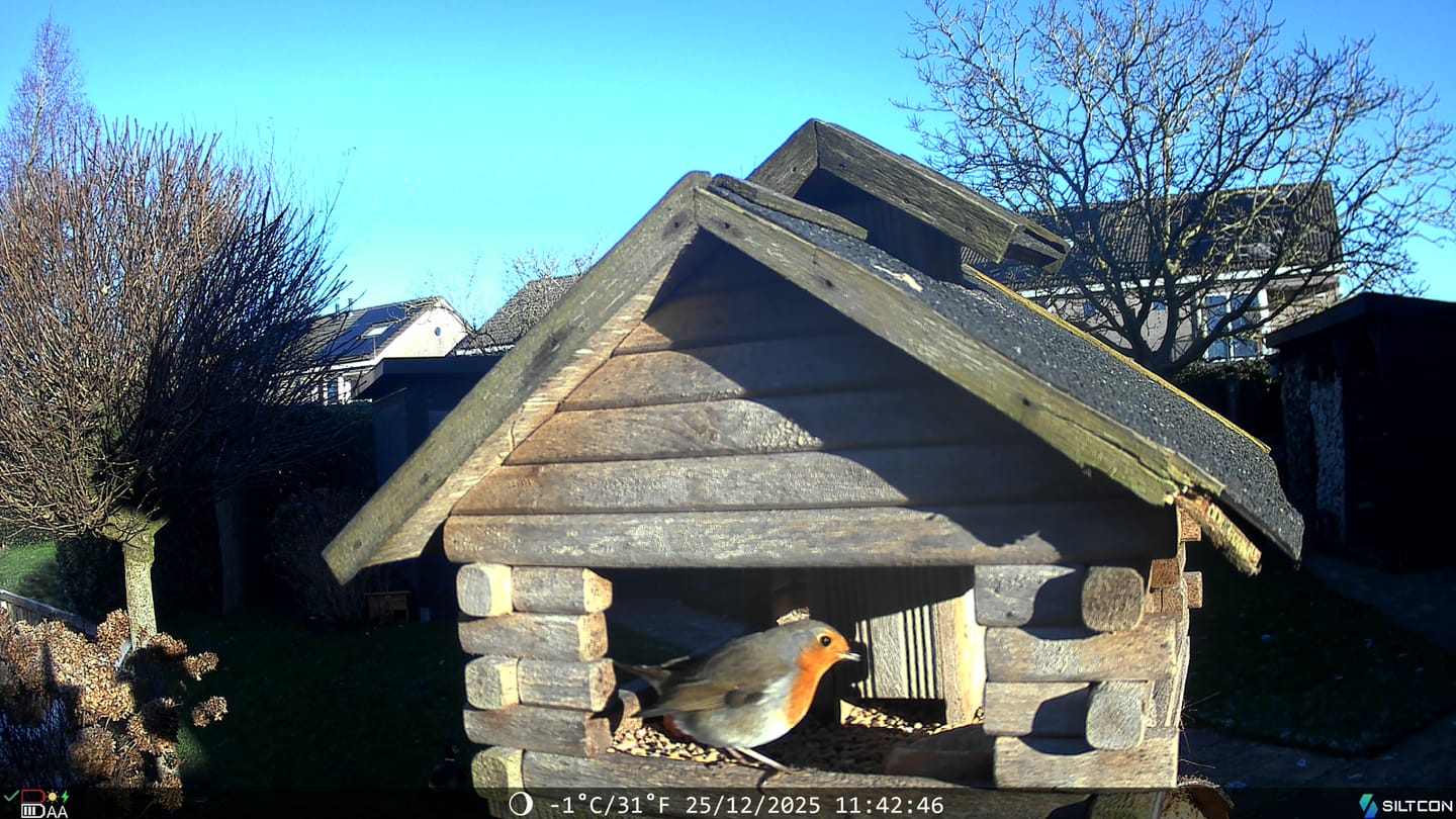Customer photo review of Siltcon® Wildcamera met Zonnepaneel 8K