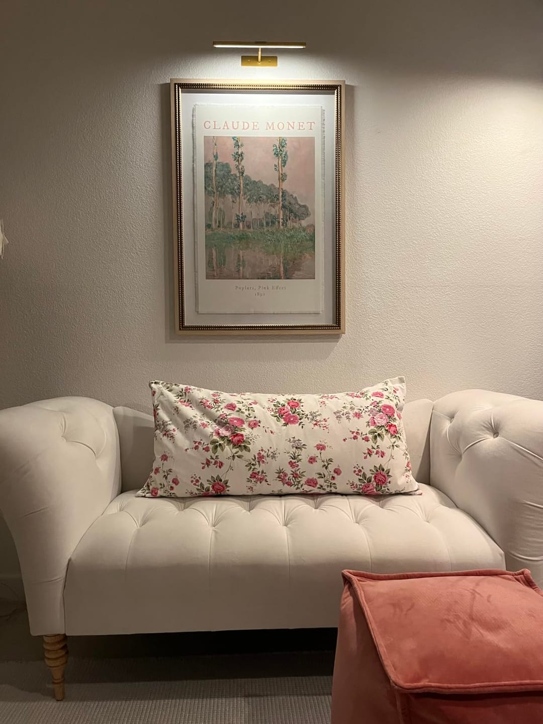 Customer photo review of LightsCordless™ RGB Rechargeable Picture Light