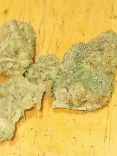 Customer photo review of Shipping Protection by Route