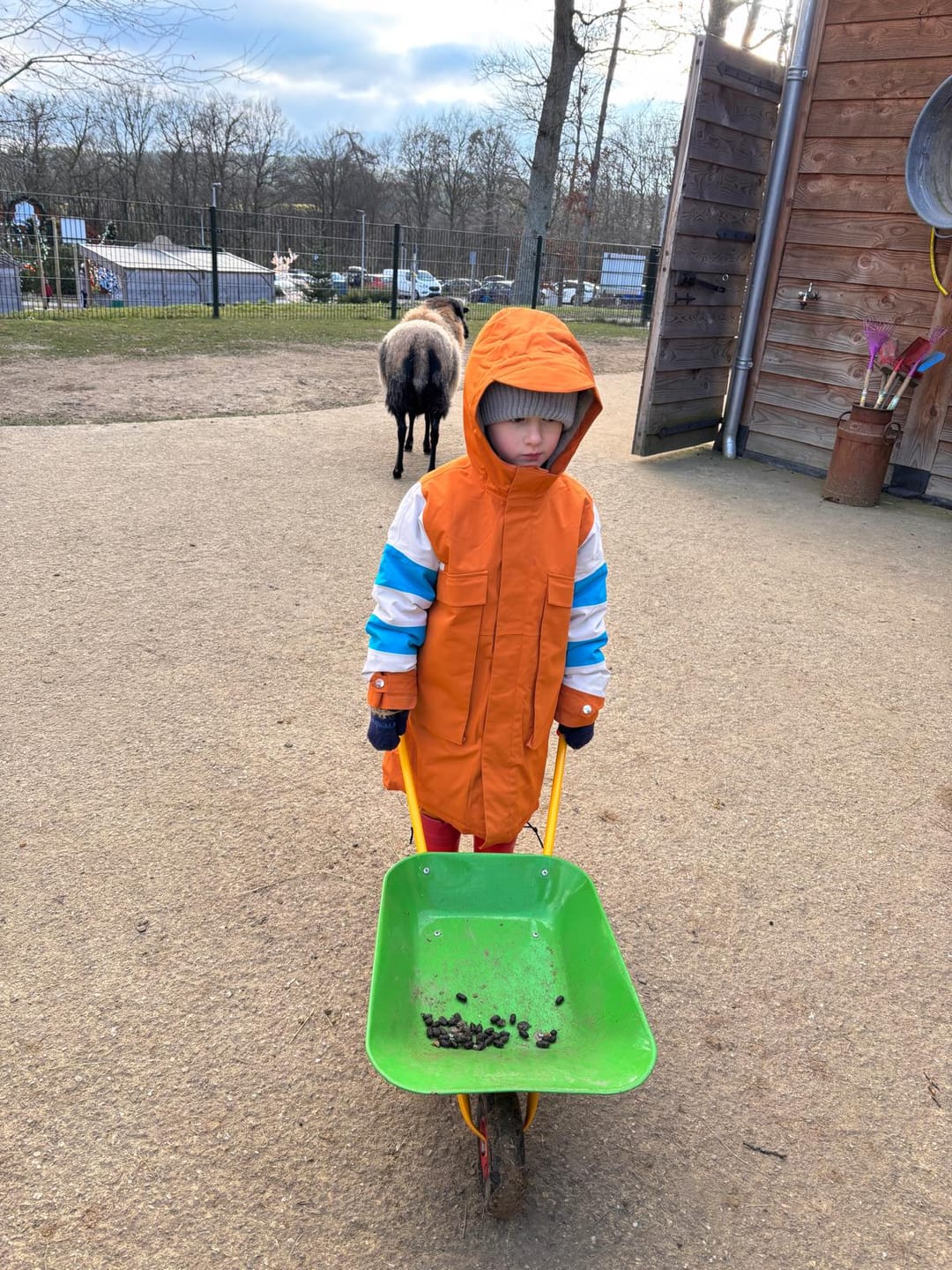 Customer photo review of Kinder Brisk Ⅰ - Barfuß-Gummistiefel