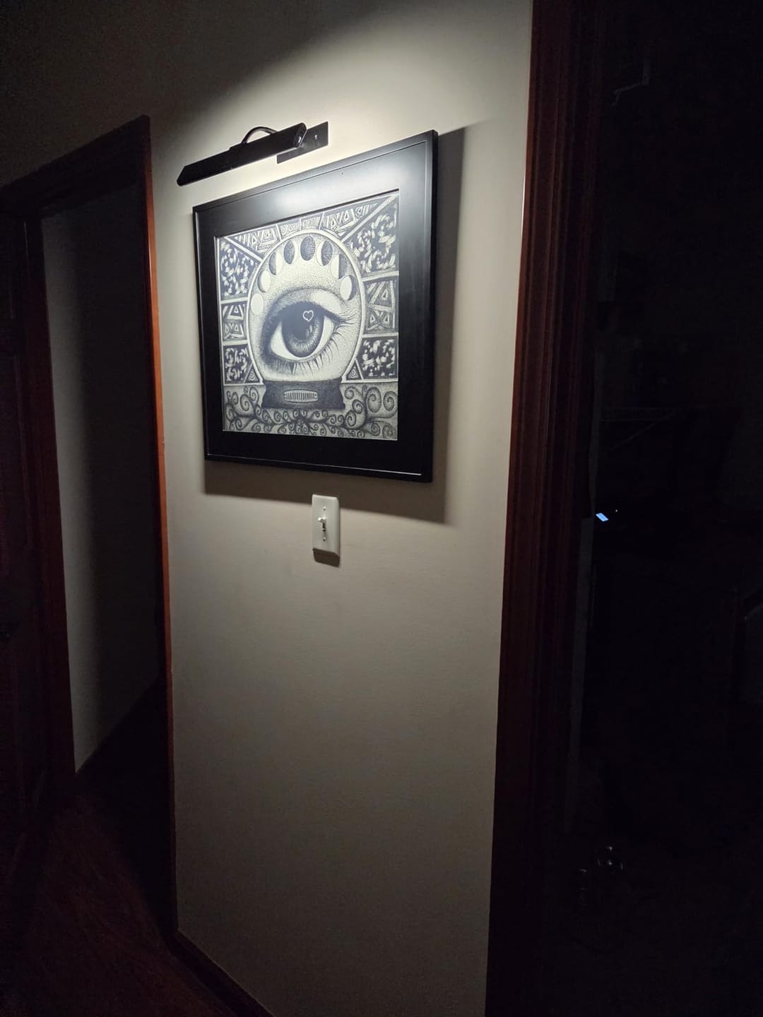 Customer photo review of LightsCordless™ RGB Rechargeable Picture Light