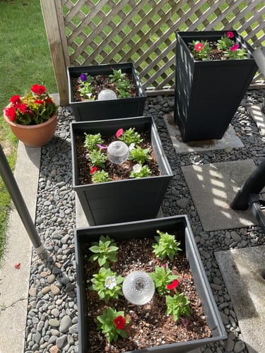 Customer photo review of Taper Square Planter 40cm