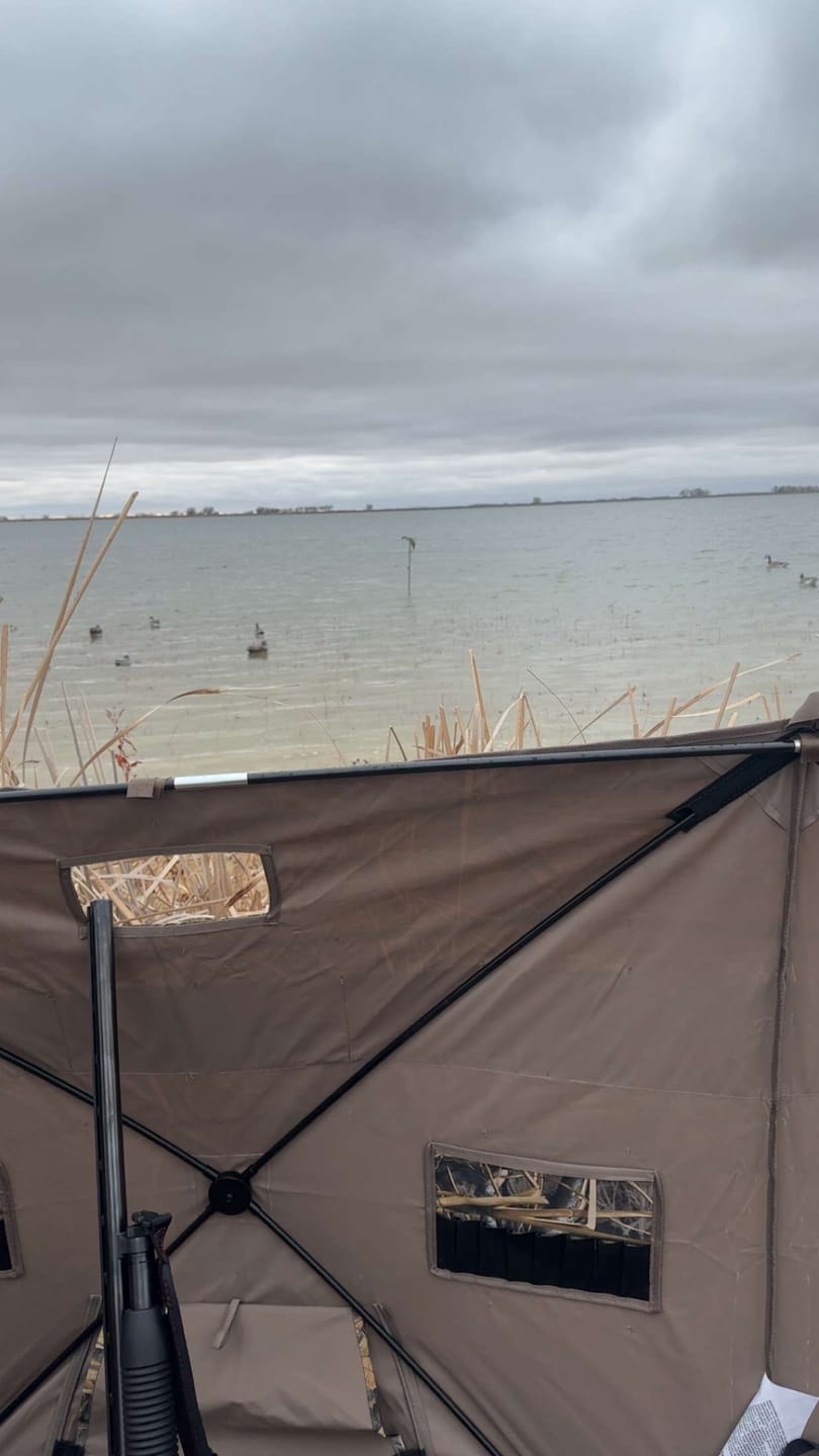 Customer photo review of Modular Panel Hunting Blind | A-Frame Pop Up Duck & Goose Blinds | Portable 3-4 Person Waterfowl Ground Blind Camo
