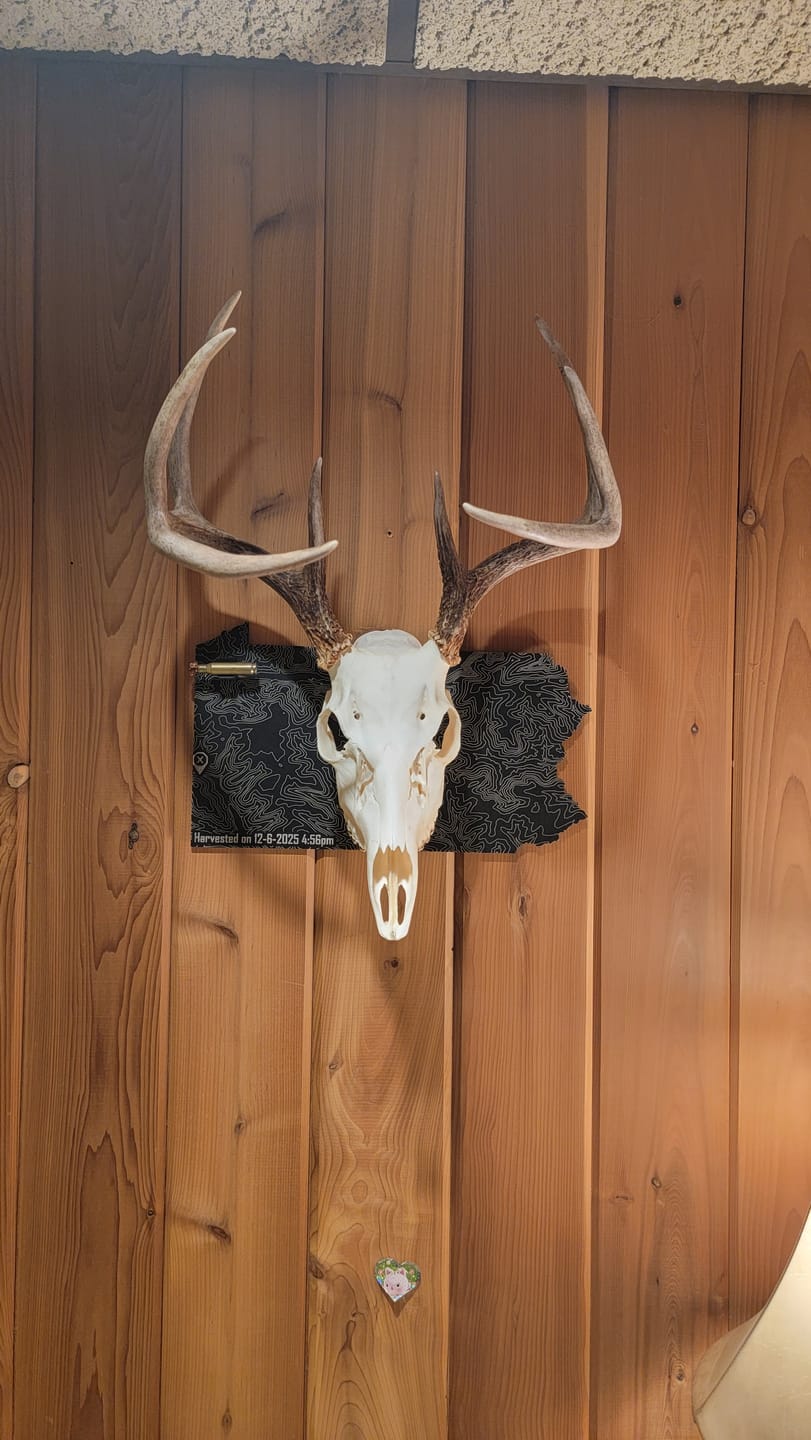 Customer photo review of Medium Game Plaques