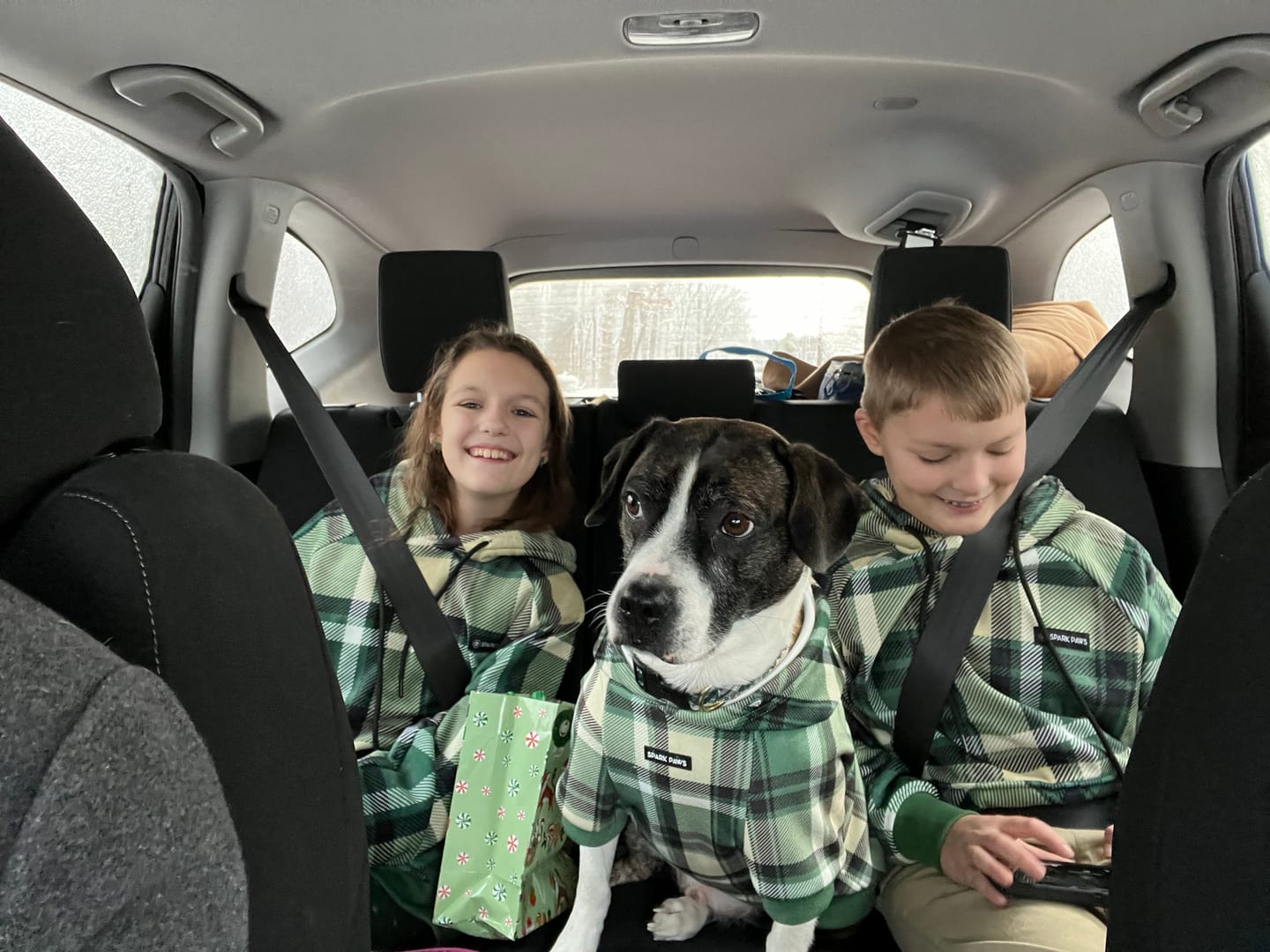 Customer photo review of Plaid Human Hoodies