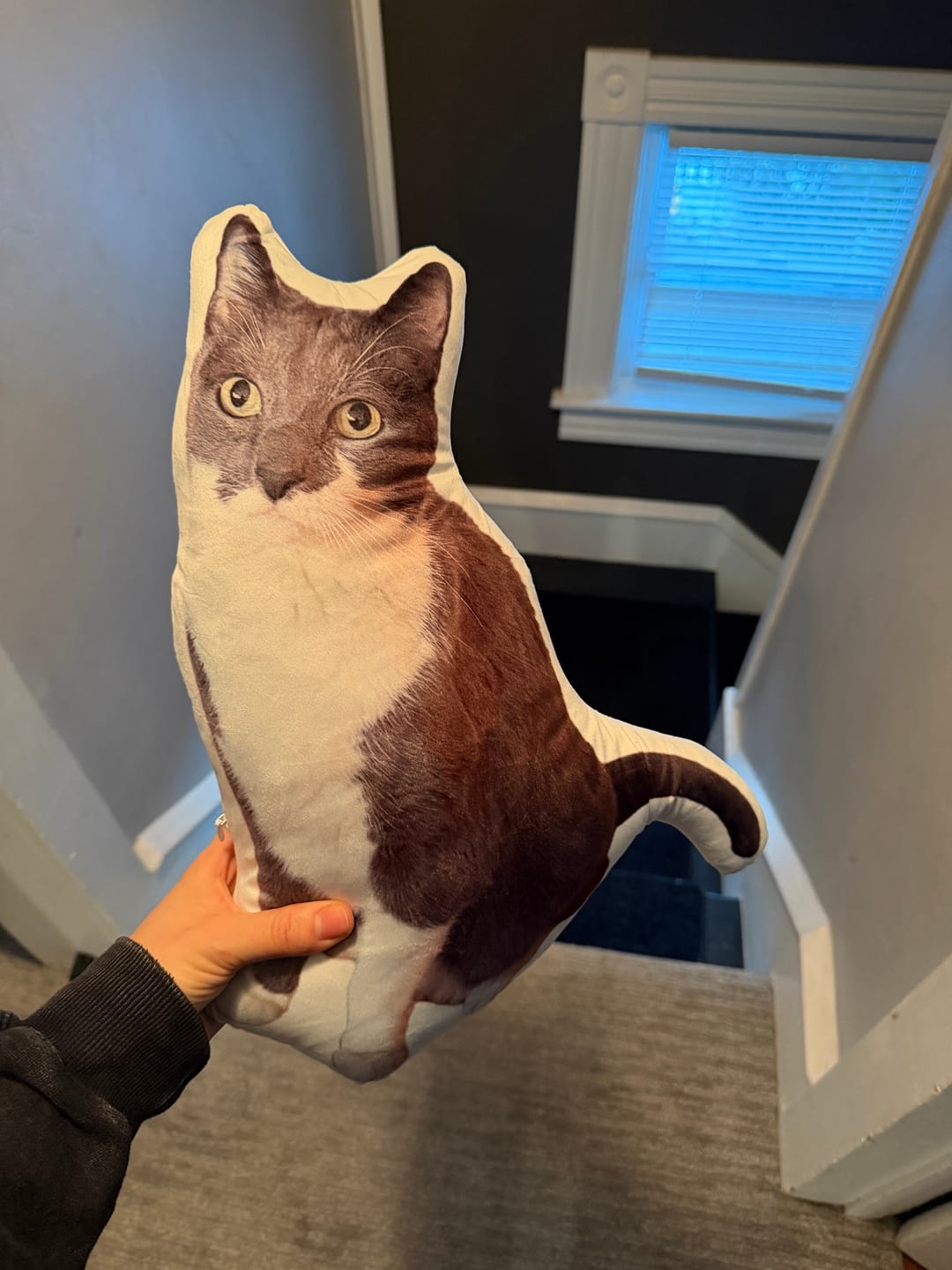 Customer photo review of Pet Pillow Looks Like Your Pet, Customize Dog Shaped Pillow with Pet Photo - ThePetPillow
