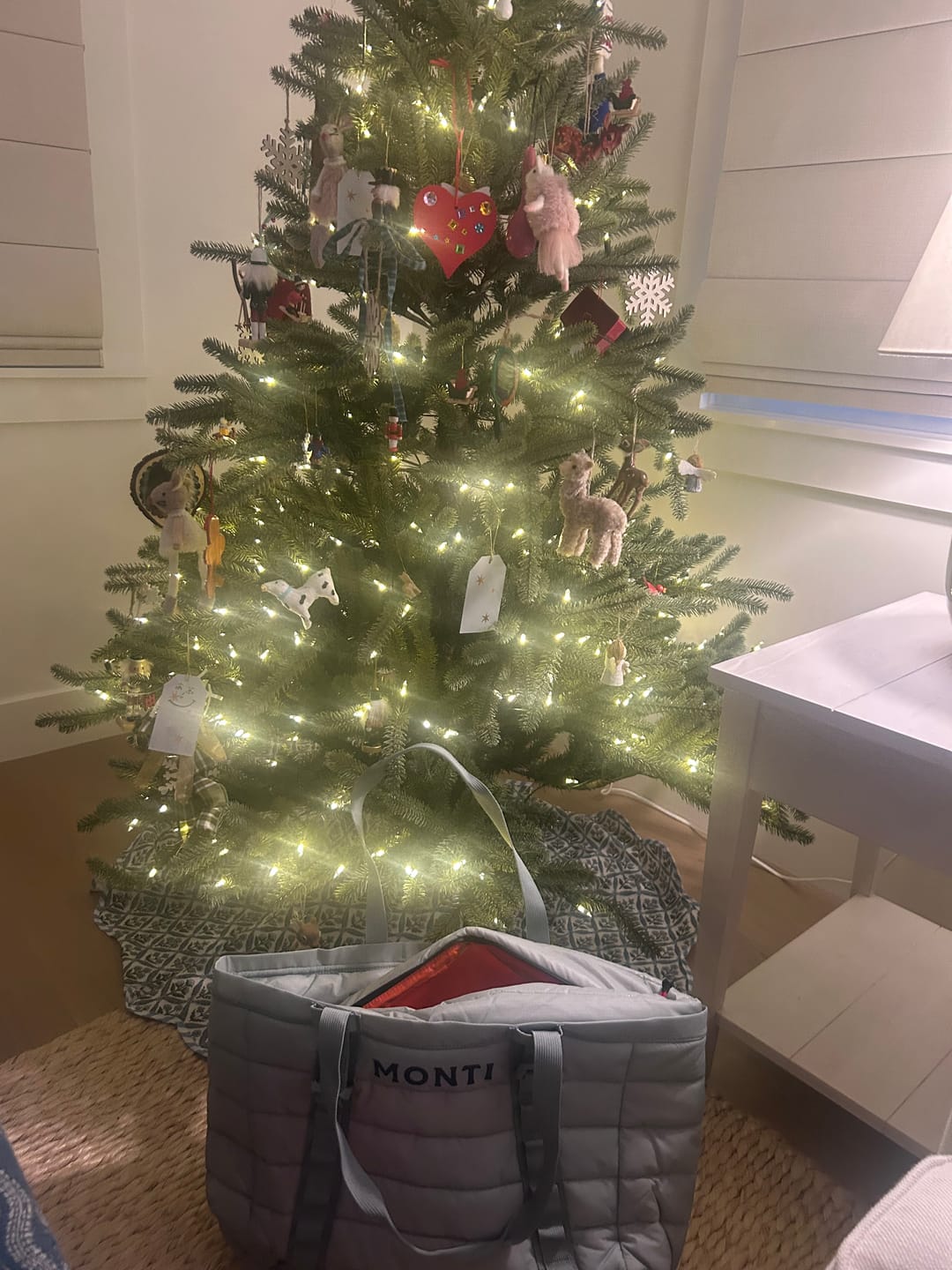 Customer photo review of The Kingfisher Cooler Tote