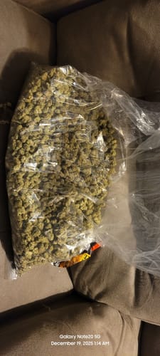 Customer photo review of Bulk Greenhouse Smalls