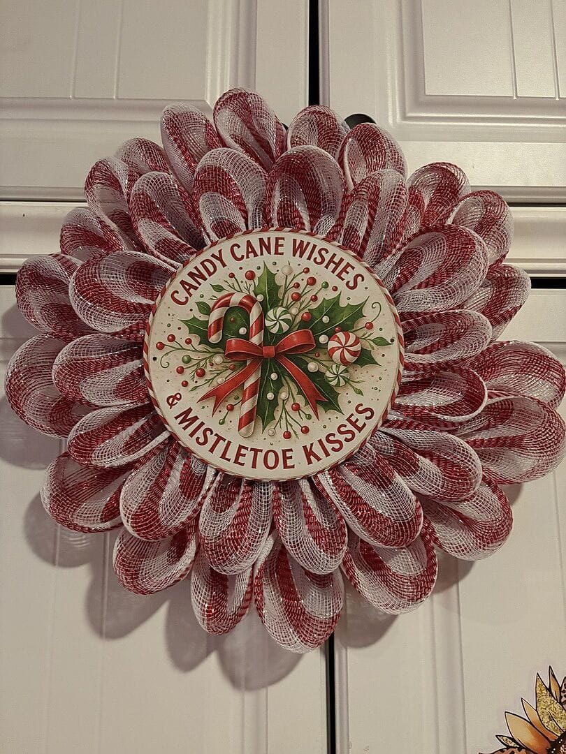 Customer photo review of White with Red Lines Metallic Stripes Mesh - ( 10 Inch x 10 Yards )