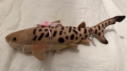 Customer photo review of Sand Tiger Shark Plush Toy – Lifelike, Soft and Wildly Adorable