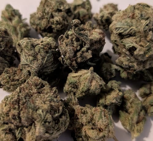 Customer photo review of Gorilla Glue - 28 Grams - Hybrid