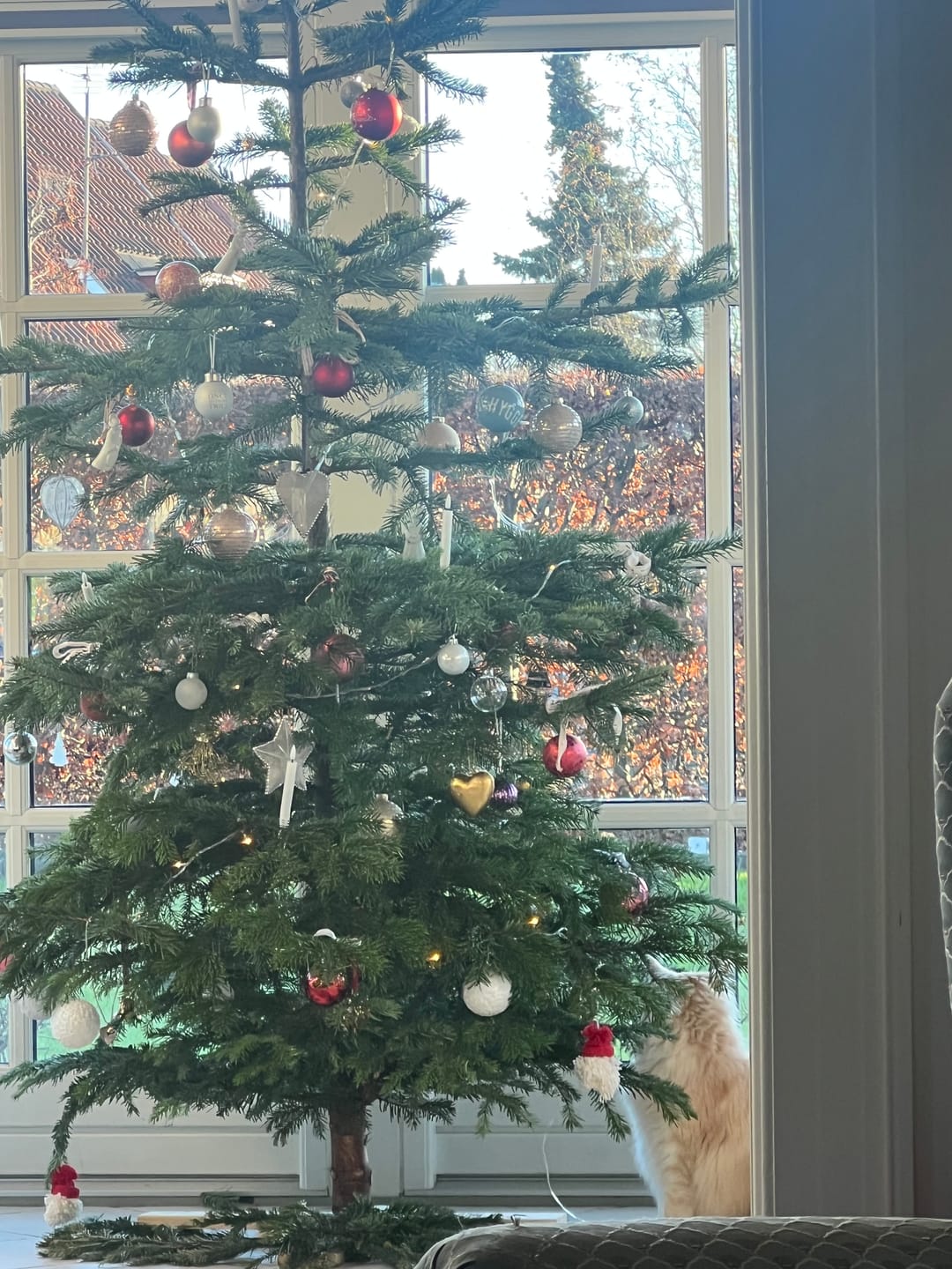 Customer photo review of Juletræslys belagt med stearin 6 stk