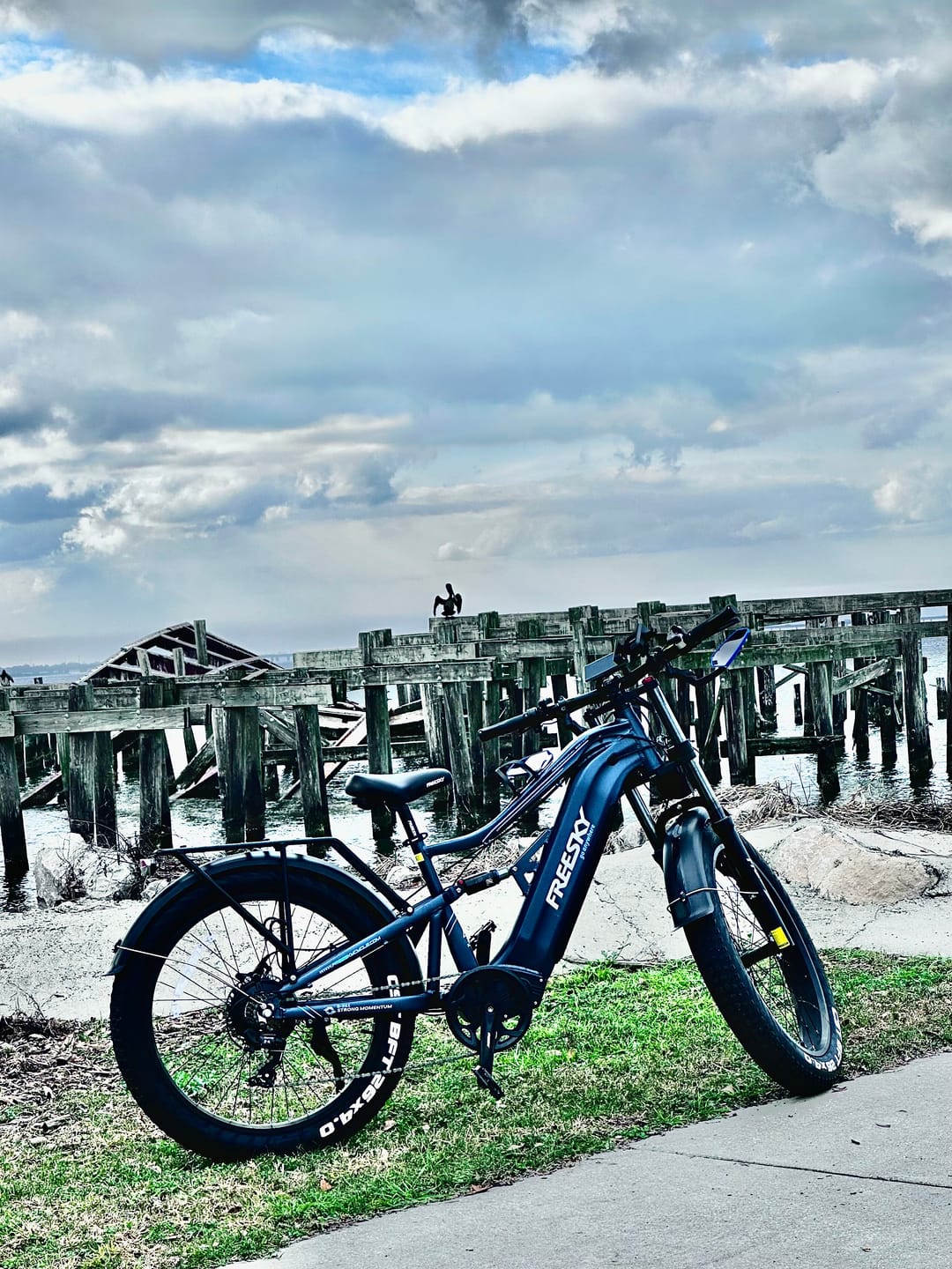 Customer photo review of Swift Horse Pro X-6E