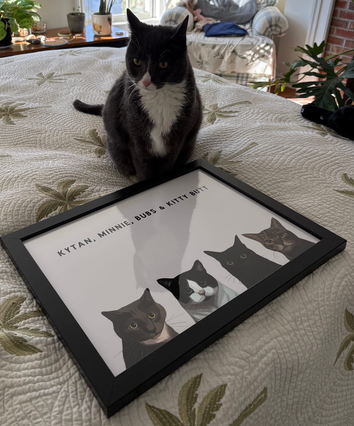 Customer photo review of Custom Four Pet Portrait