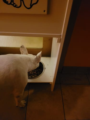 Customer photo review of Frischfutter für Energiebedarf von 776 kCal/Tag