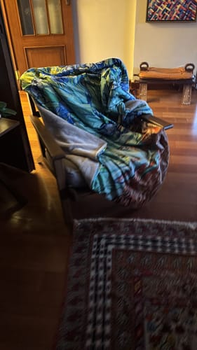 Customer photo review of Van Gogh Irises