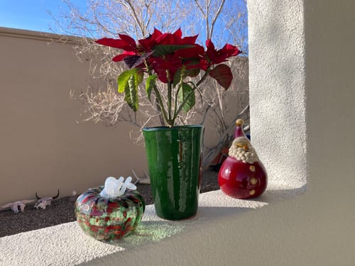 Customer photo review of Daily Pumpkin 1505 Holiday Squat