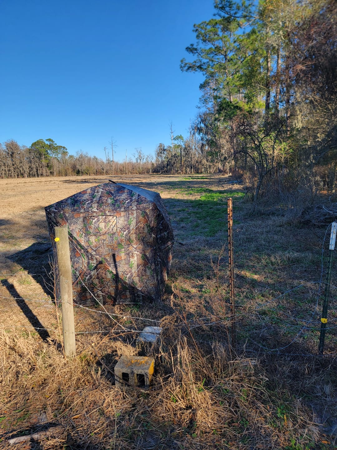 Customer photo review of Vis Series See Through Hunting Blind, Pop Up Ground Deer Blind