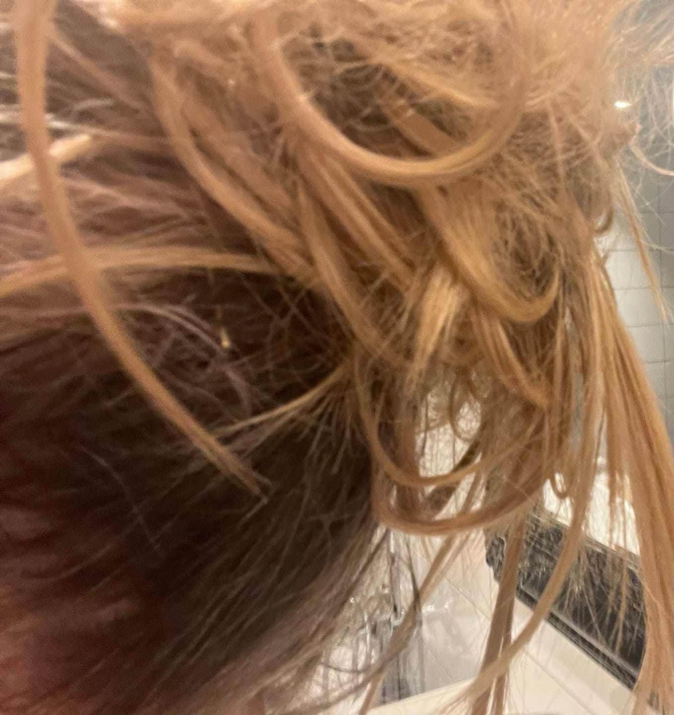 Customer photo review of TANGLED WILDBUN