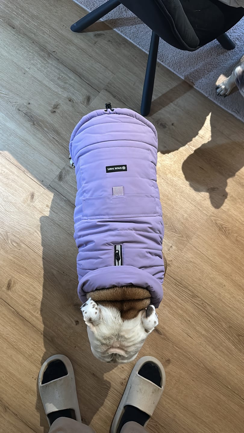 Customer photo review of WarmShield Water-Resistant Jacket - Lilac
