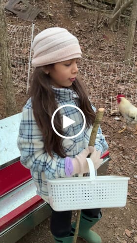 Customer video review of Large (48") - Reversible Rollout Nest Box (Up to 50 Hens)