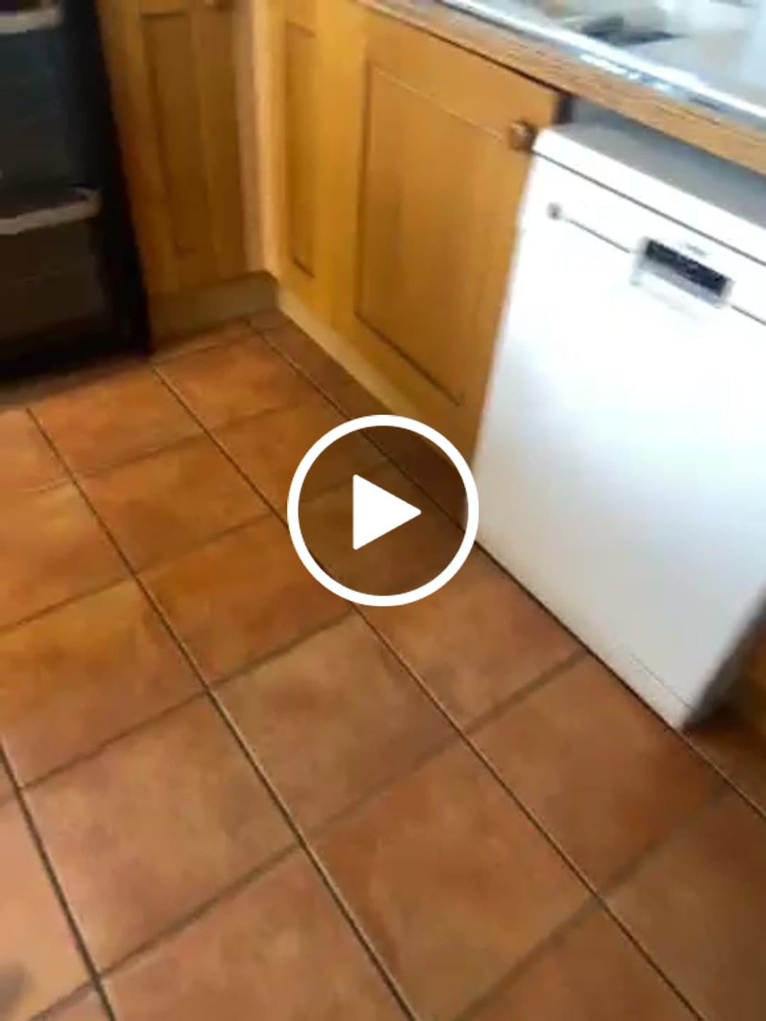 Customer video review of All Weather Dog Collar