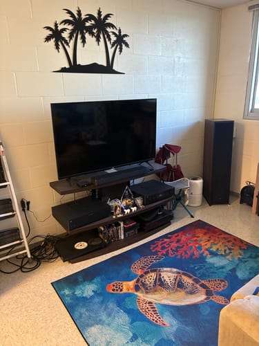 Customer photo review of Palm Trees - Metal Wall Art