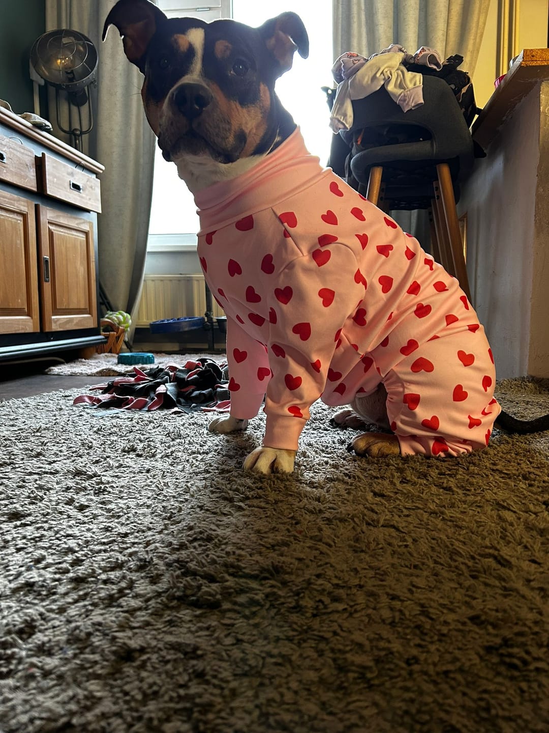 Customer photo review of Dog Pajama - Pink Hearts