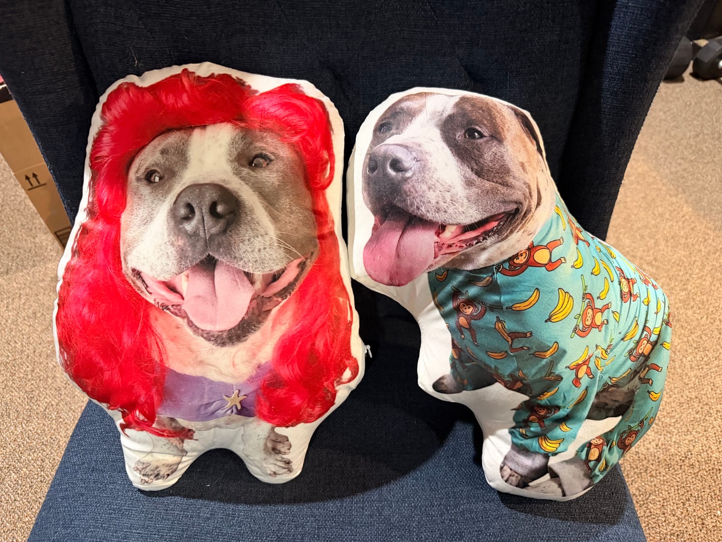 Customer photo review of Custom Pet Shaped Pillow that Look Like your Pet - ThePetPillow