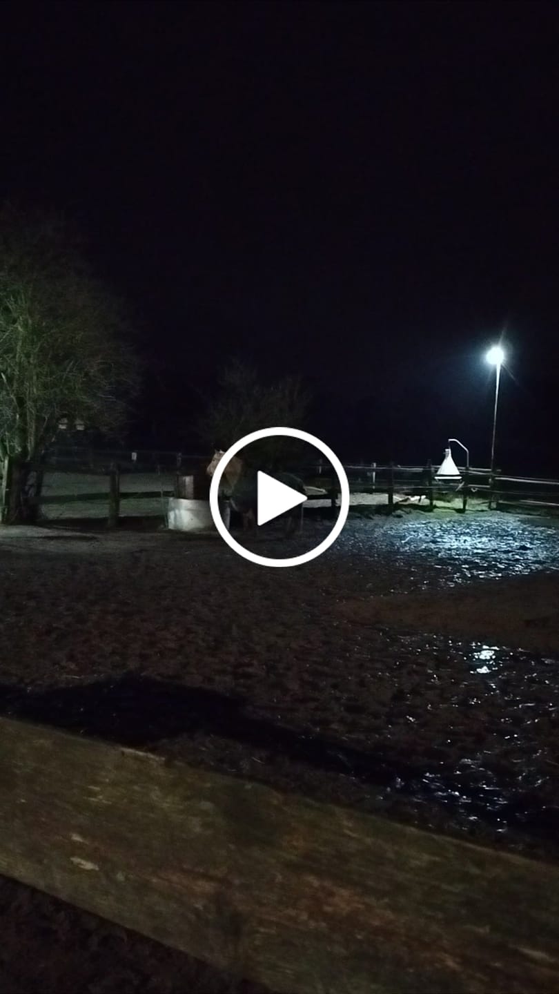 Customer video review of Kristallkraft Mental Balance