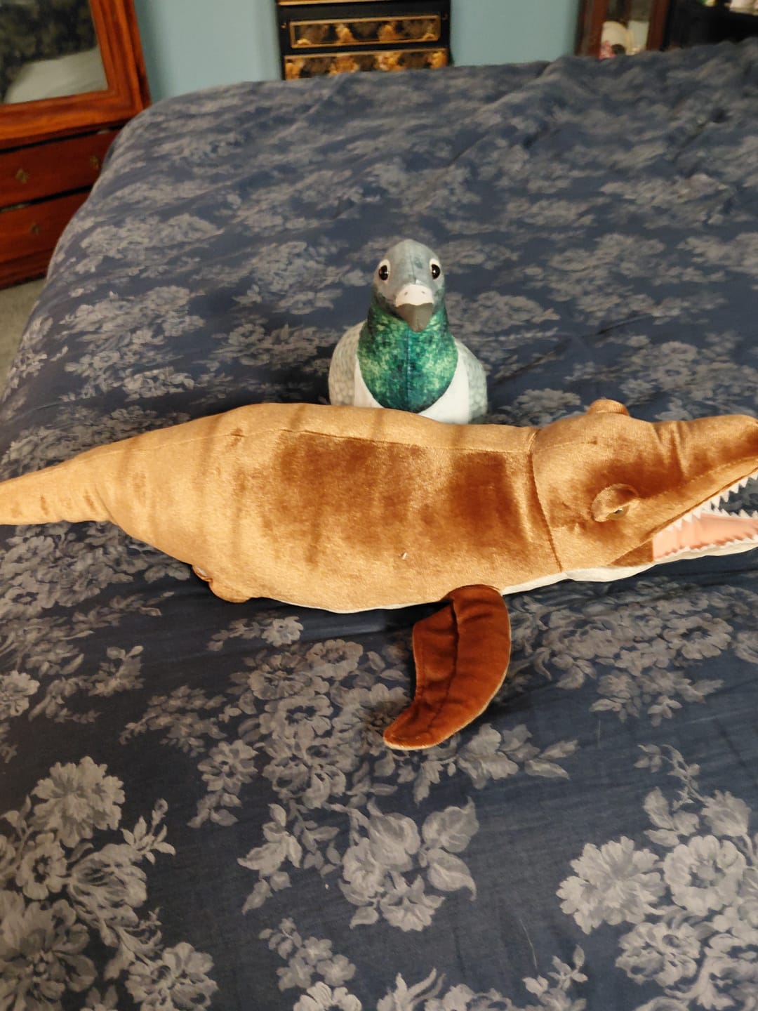 Customer photo review of Common Pigeon Bird Soft Stuffed Plush Toy