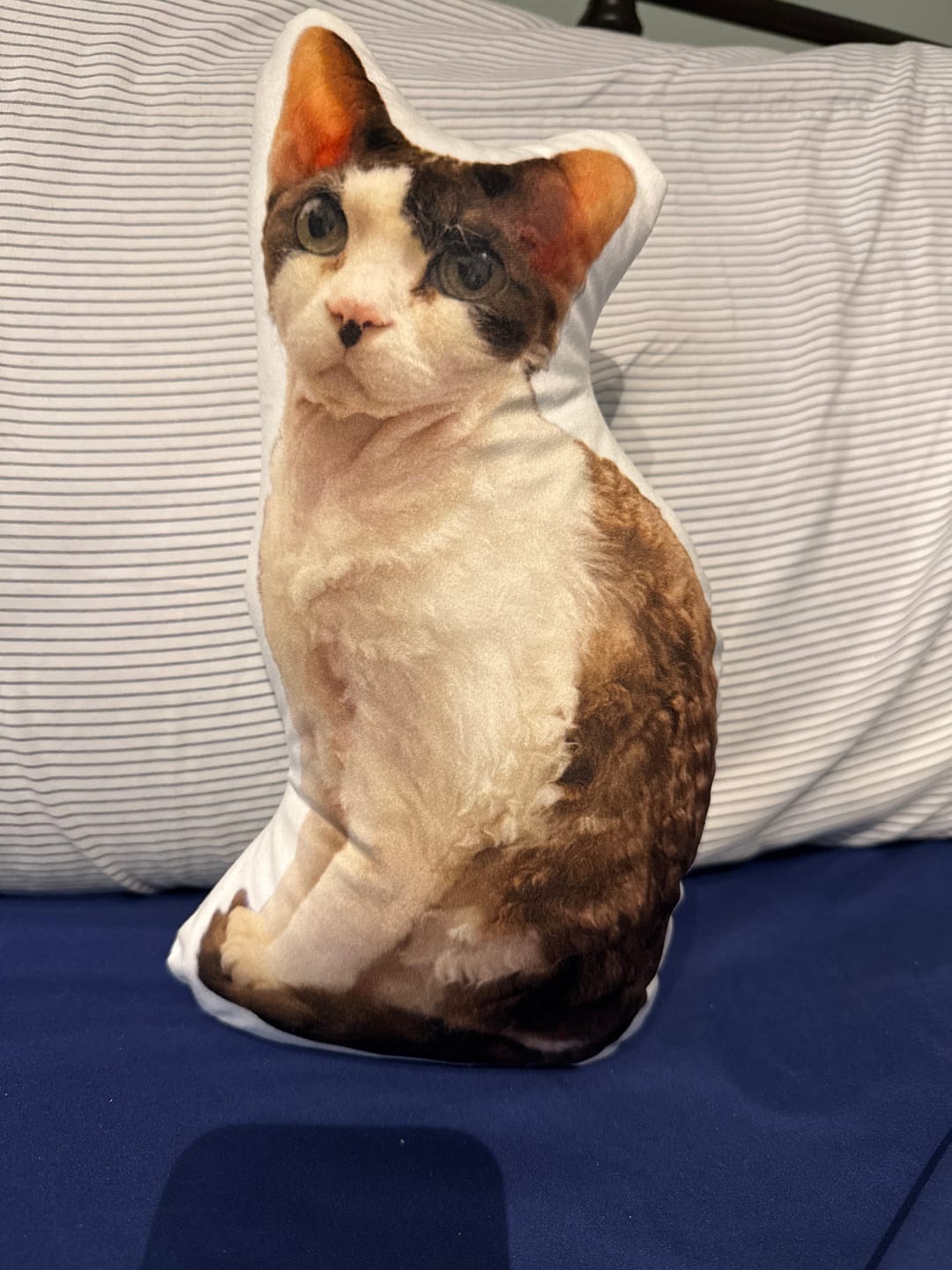Customer photo review of Pet Pillow Looks Like Your Pet, Customize Dog Shaped Pillow with Pet Photo - ThePetPillow