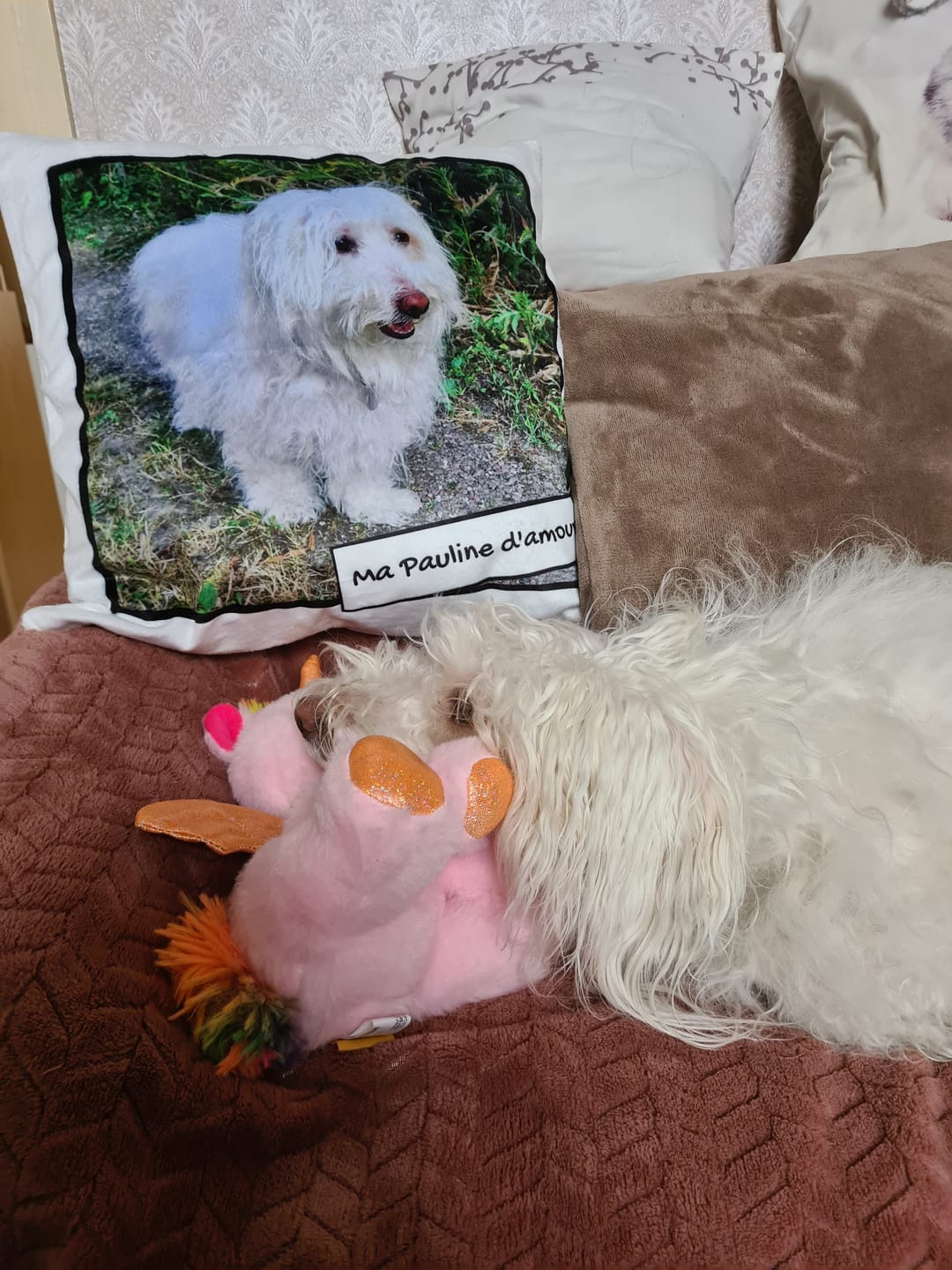 Customer photo review of Avec photo - Coussin personnalisé