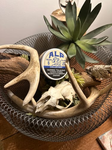 Customer's can of ALP Chilled Mint pouches in a decorative wire basket with antlers and a small skull.
