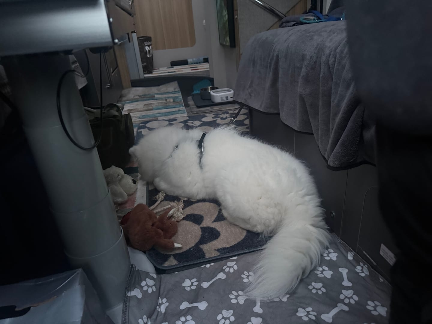 Customer photo review of Luxury Throw & Dog Blanket