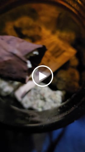 Customer video review of Lemon Cherry Gelato Indoor - Bulk - Hybrid