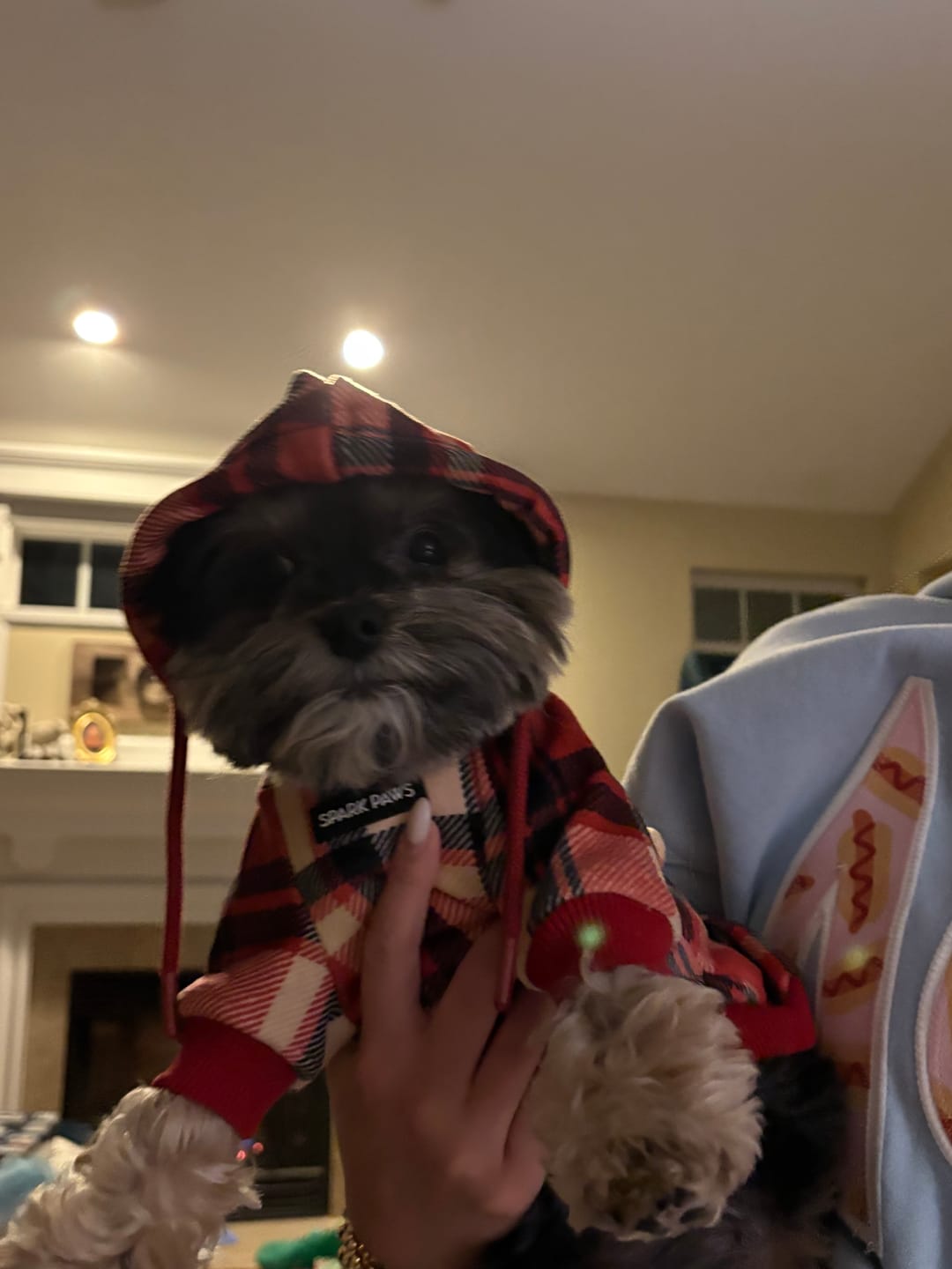 Customer photo review of Red Plaid Human Hoodie