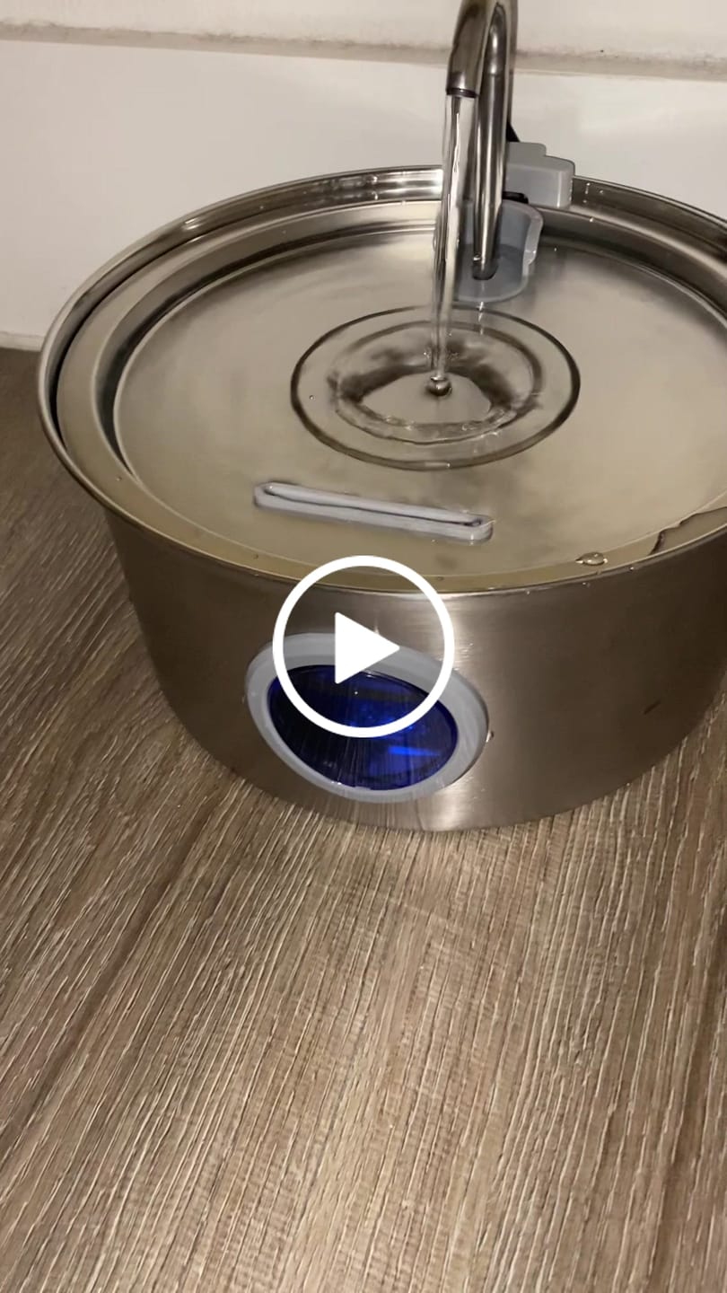 Customer video review of Pawdrate™ Filtered Water Fountain