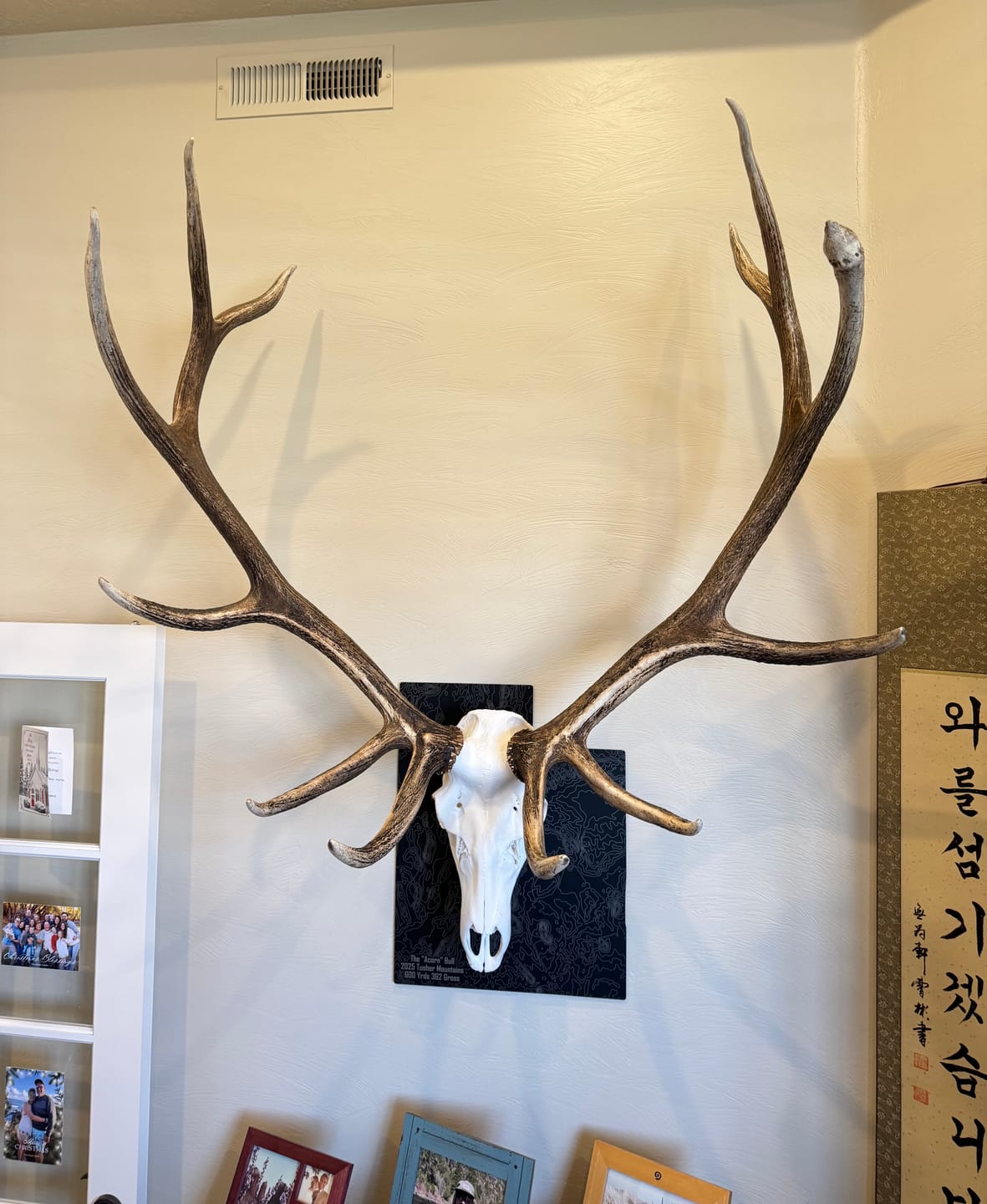 Customer photo review of Large Game Plaques