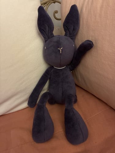 Customer photo review of DANIEL, LE LAPIN - M/L