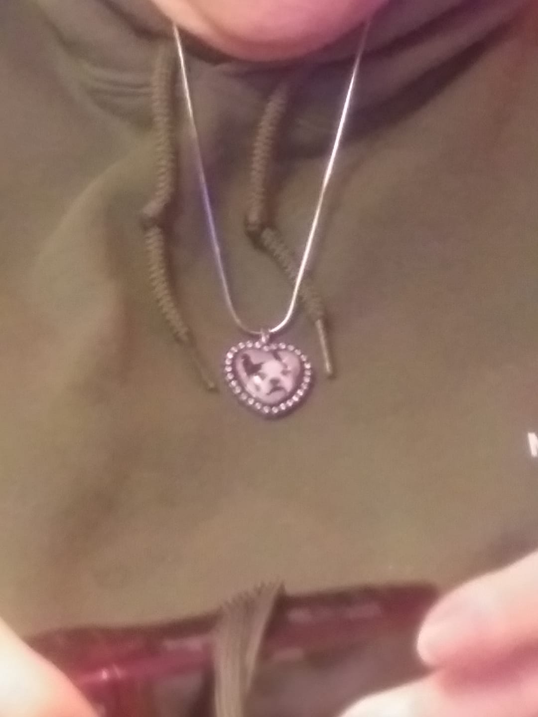 Customer photo review of Forever in My Heart Picture Engraved Necklace for Pet