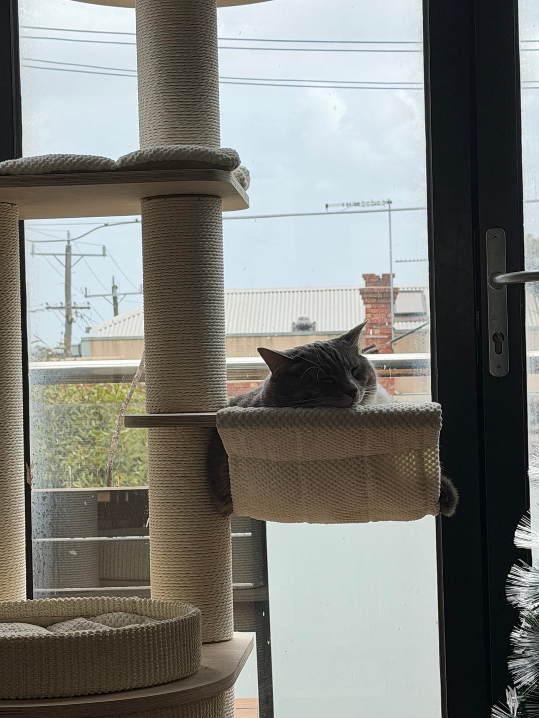 Customer photo review of Michu Luna Multi-Layer Solid Wood Cat Nest Tree