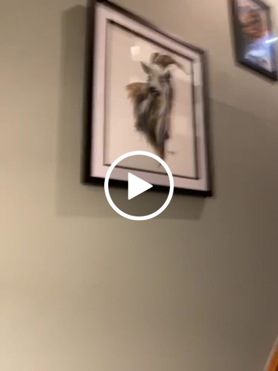 Customer video review of Yorkshire Lass - Print