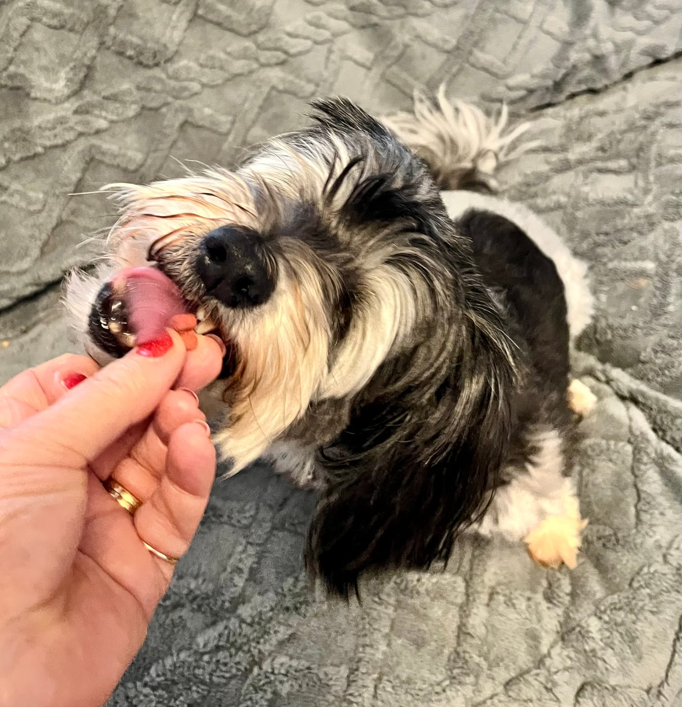 Customer photo review of FREE Taste Testing Bundle